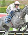 McNEILL: END CHAMPION COP-OUT41