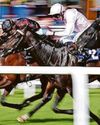 HAGGAS EYEING DERBY JUBILEE83