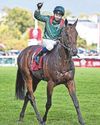 DARYZ DAZZLES TO ASCOT31