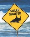 Another Oz spearfisher dies after a shark attack Another Oz spearfisher dies after a shark attack18