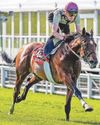 LACE HAS A REAL RACE LACE HAS A REAL RACE52