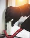 Burglaries highest in the North, data finds Burglaries highest in the North, data finds18