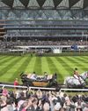 All the King's horses15