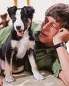 John Noakes 'gave Shep away'12