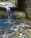 Coca-Cola leads the 'dirty dozen' of plastic polluters15