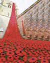 We wool remember them ...knitted river of poppies We wool remember them ...knitted river of poppies2