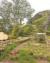 Two more held over Sycamore Gap felling10