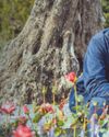 Monty: Britons losing plot over gardens abroad8