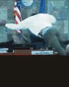 Furious suspect attacks judge Furious suspect attacks judge24