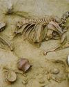 Iron Age people were buried with their pets Iron Age people were buried with their pets10