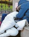 Homeless rises to ‘at least' 354k on a given day