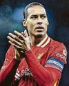 Social media hype is red flag for Van Dijk