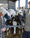 Our farm makes £26k profit. Selling it is only way to pay £1m IHT bill