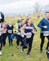 Rogue steward gives 10k trail racers the runaround