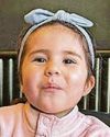 Tram death tributes to Lulu as man is charged21