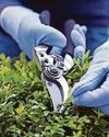 How to garden safely this spring