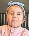 Drug binge van driver killed girl, 3 Drug binge van driver killed girl, 3