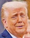Ride Trump rollercoaster Ride Trump rollercoaster