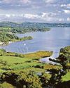 Hunt for mystery killer decimating Windermere's Ice Age relic fish Hunt for mystery killer decimating Windermere's Ice Age relic fish