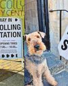 Dogged by Reform, the Tories need to do a good deal fast Dogged by Reform, the Tories need to do a good deal fast