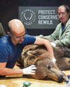 Boki's no longer a bear with a sore head after brain op41