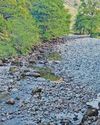 Fears for fish after very dry and warm spring Fears for fish after very dry and warm spring42