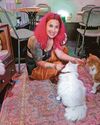 FELINE GOOD! FELINE GOOD!