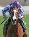 MINNIE AN OAKS MUST FOR RYAN74
