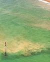 'Deep-rooted, systemic' failures mean water industry needs reset of firms and watchdog58