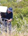 Radar search for Madeleine in scrubland Radar search for Madeleine in scrubland