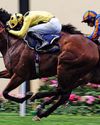 Lion to be the pride of Ascot Daily Express