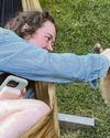 Peru stray Paddington faces voyage to UK Peru stray Paddington faces voyage to UK