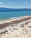 Hopes fade for British expat who vanished from Greek beach Daily Express