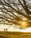 Find enlightenment in nature during the dark days of winter11