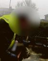 Delivery driver nicked my cat!28