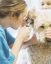 Pricing plan aims to save pet owners from shock vet bills Pricing plan aims to save pet owners from shock vet bills1