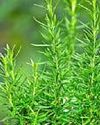 Easy way to happy herbs43