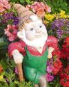 Surprise as gnomes given a temporary home at Chelsea32