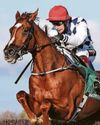 Racing BRIDGE NATIONAL BID47