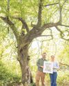 The tree from which Brambly Hedge grew29