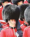 No bears need die to keep military tradition alive No bears need die to keep military tradition alive13