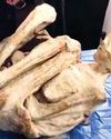 RETURN OF PERU ALIEN MUMMIES