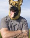 Folk who identify as dogs are not allowed to chase people who think they are squirrels18