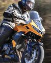 TRIUMPH TIGER ROARS