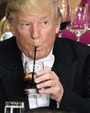 Trump war on paper straws