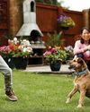 KNOW RISKS OF PLAYING FETCH KNOW RISKS OF PLAYING FETCH