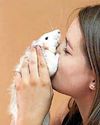 You lovely rat You lovely rat