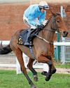 Incredible gets all-clear for the Scottish National Incredible gets all-clear for the Scottish National