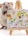 Gifted rodents Gifted rodents