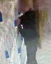 THIEF HIDES BIRDS DOWN HIS PANTS! THIEF HIDES BIRDS DOWN HIS PANTS!